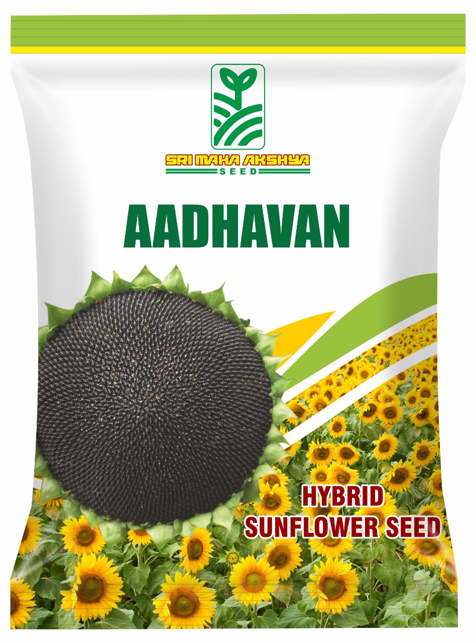 Hybrid Sunflower - Aadhavan