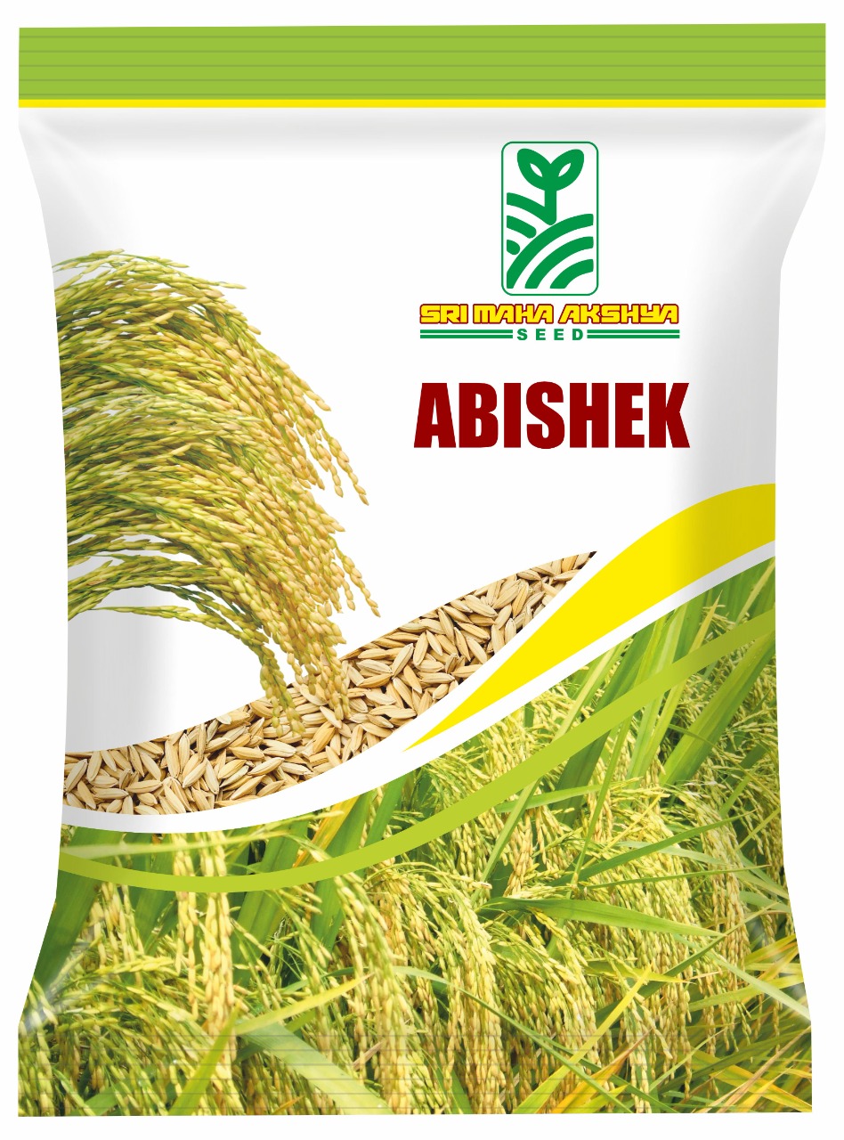 Hybrid Paddy - Abishek