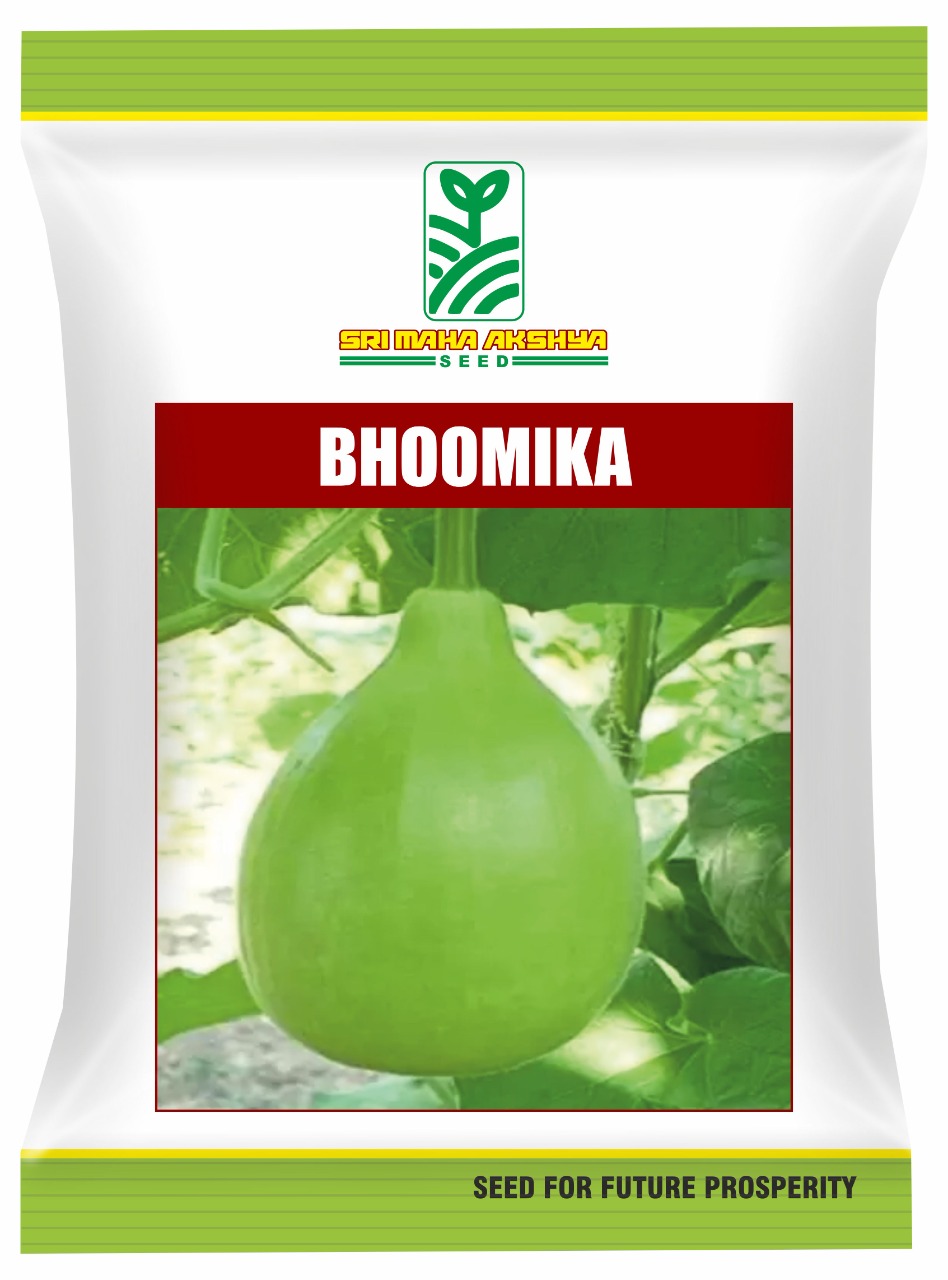 Bottle Gourd - Bhoomika